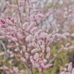 Bonjour tout le monde !